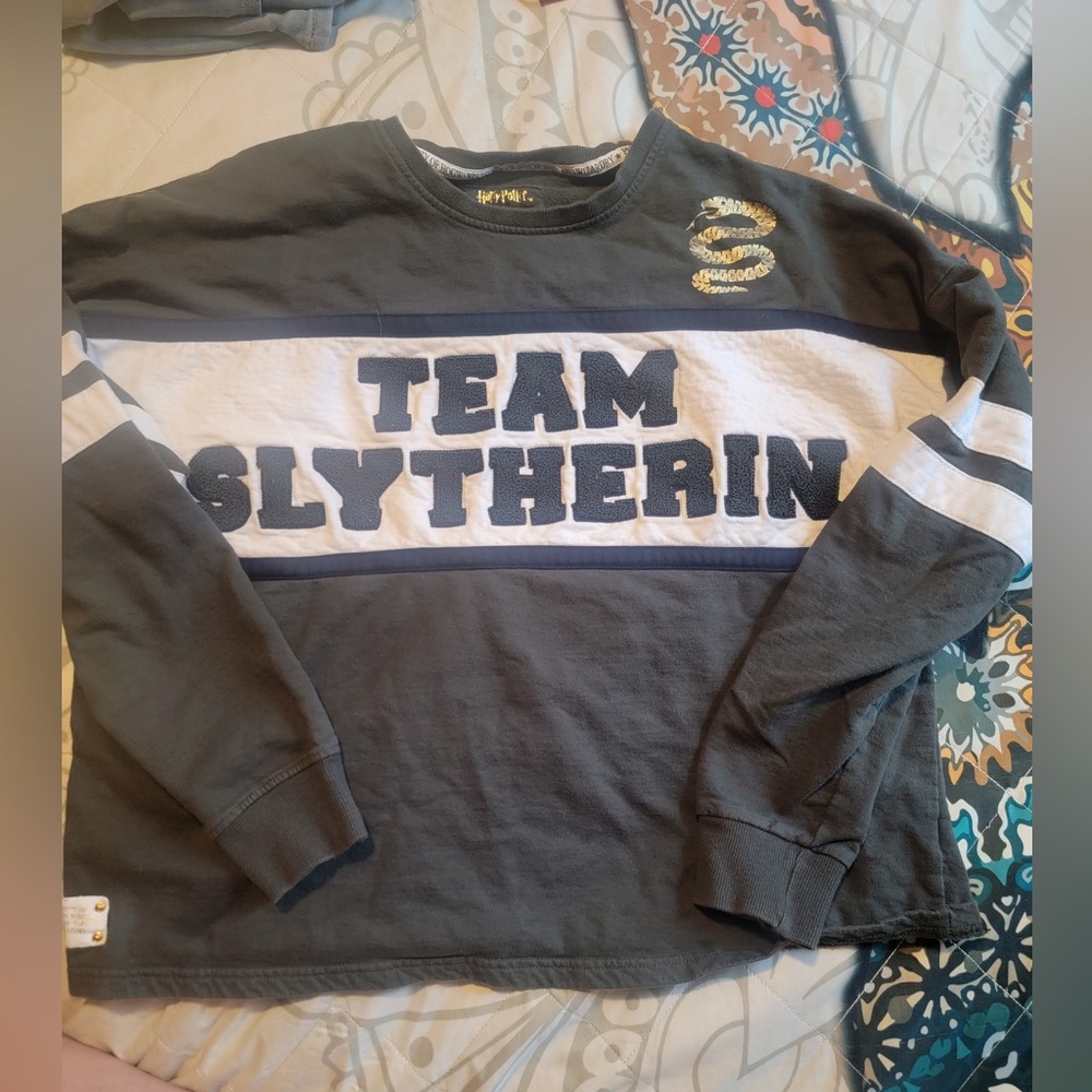 Harry Potter Team Slytherin sweater